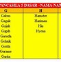 Nama Nama Buah A Sampai Z Bahasa Inggris